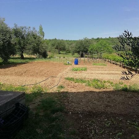 Apartmani Sladic Skradin Esterno foto